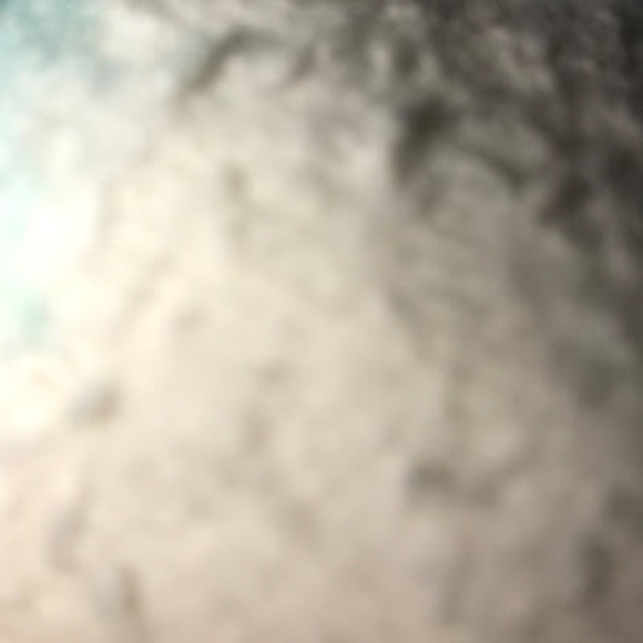 Meet your Posher, Marlee - Picture 1 of 1